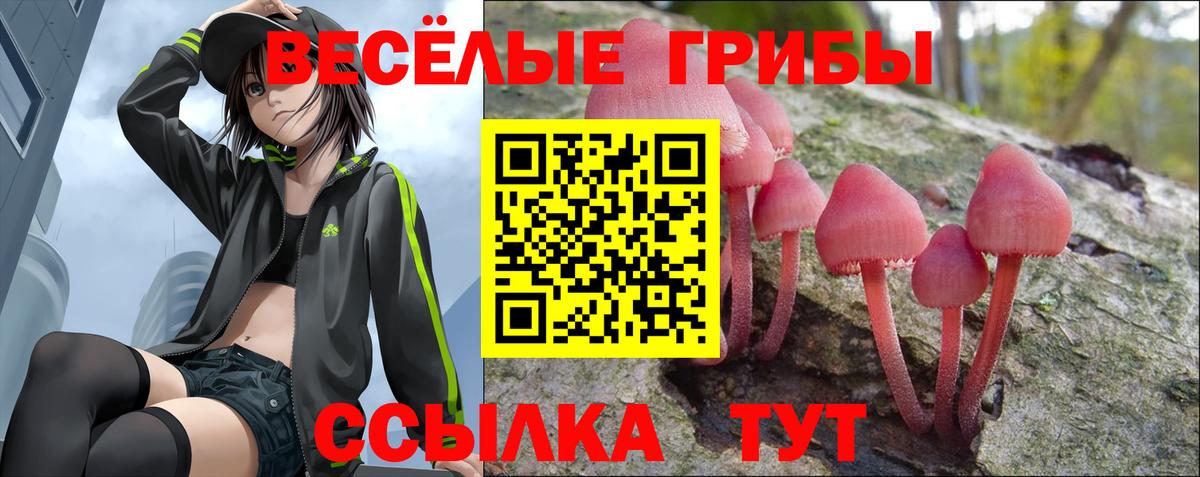 Псилоцибиновые грибы прущие грибы  Вход с VPN  Новокуйбышевск 