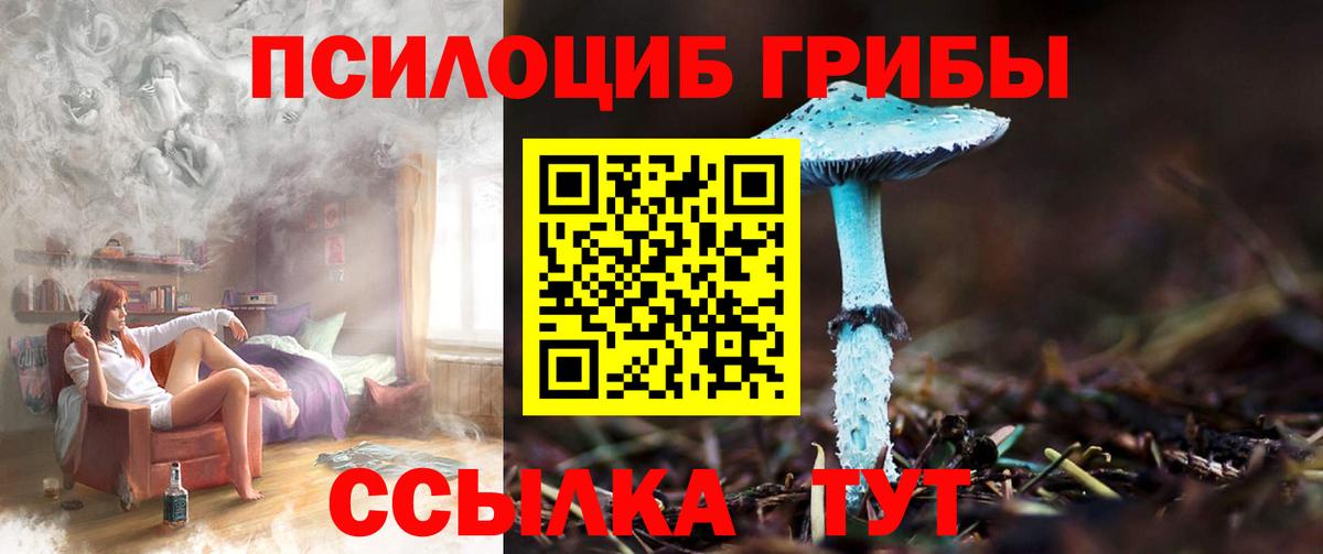 Галлюциногенные грибы мицелий Новокуйбышевск